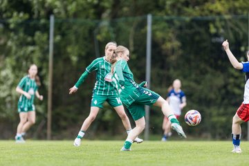 Bild 53 - wBJ Hamburger SV - SV Werder Bremen : Ergebnis: 2:2